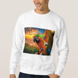 Sweatshirt Vêtements et chaussures > Hommes > Vêtements > Swe