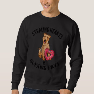 Sweatshirt Voleurs de cœurs pets explosifs Welsh Terrier Vale