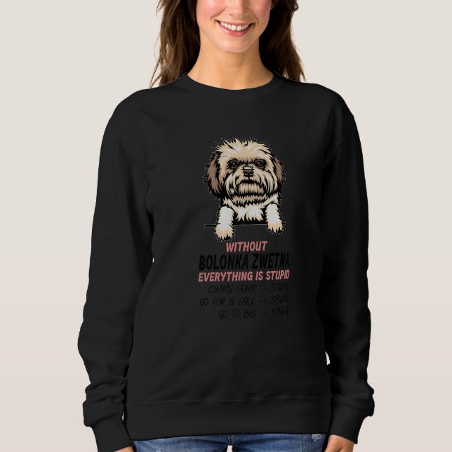 Sweatshirt without Bolonka Zwetna dog everything is stupid Pr (Devant)