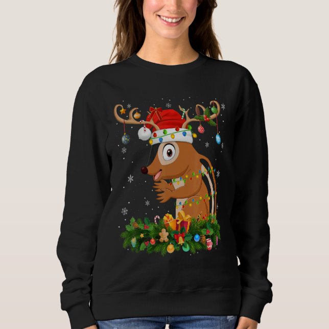 Sweatshirt Xmas Holiday Reindeer Hat Santa Chipmunk Christmas (Devant)