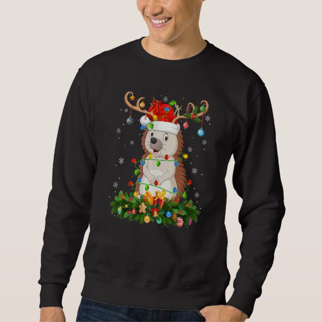 Sweatshirt Xmas Holiday Reindeer Hat Santa Hedgehog Christmas (Devant)