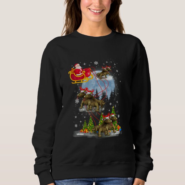 Sweatshirt Xmas Lighting Tree Santa Riding Komodo Dragon Chri (Devant)