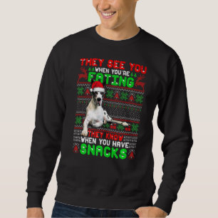 Sweatshirt Xmas Super Dane Père Noël Ils vous voient quand vo