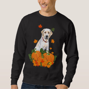 Sweatshirt Yellow Labrador Retriever Thanksgiving Citrouille