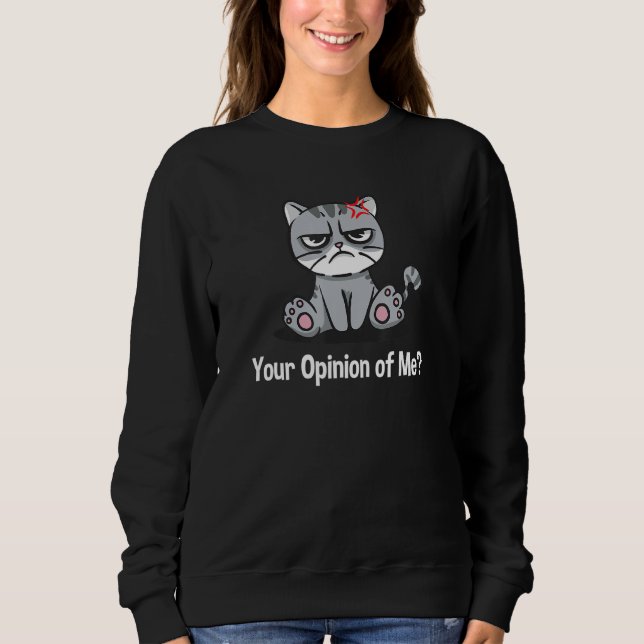 Sweatshirt Your Opinion of Me Sarcastic Coworker Sarcasm Offi (Devant)