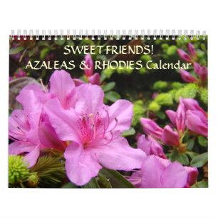 SWEET AMIS Calendrier Cadeau Azaleas Fleur Rhodies
