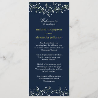 Sweet Baby's Breath Wedding Programme
