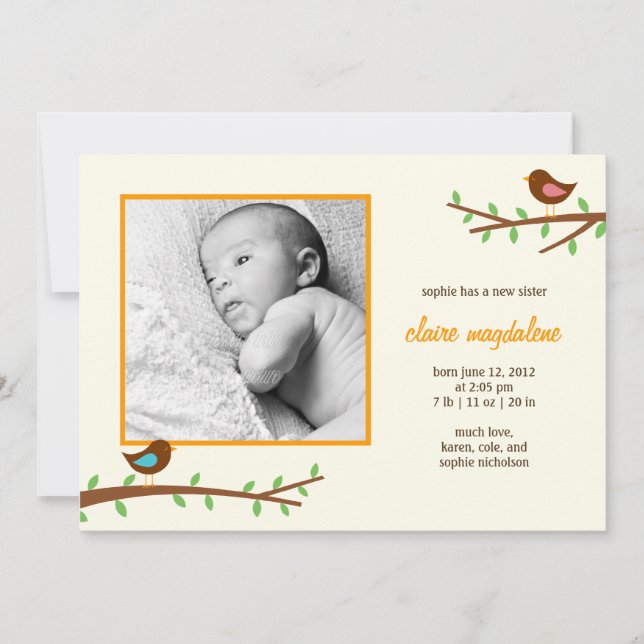 Sweet Birdies Baby Faire-part de naissance (Devant)