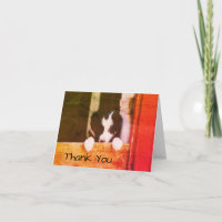 Sweet Border Collie Chien Chien Carte de remerciem