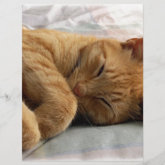 Sweet Dreams (Devant)