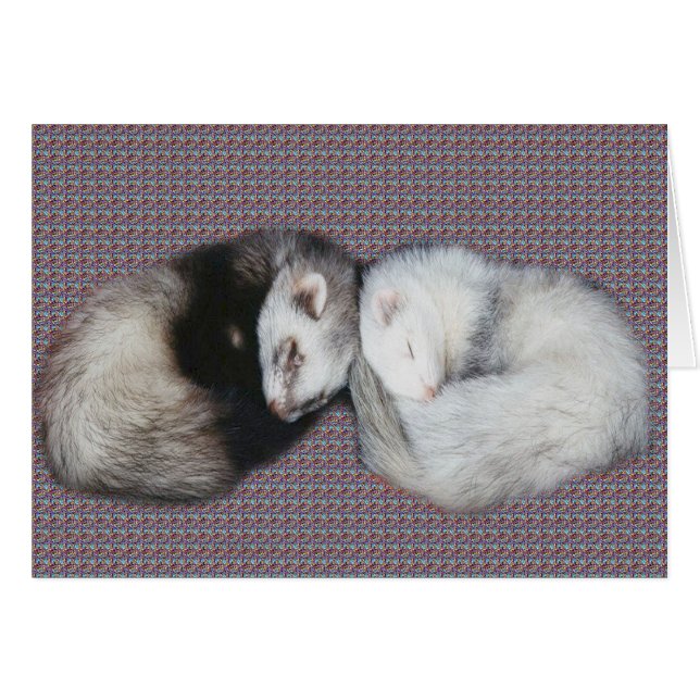 Sweet Dreams Ferrets (Devant horizontal)
