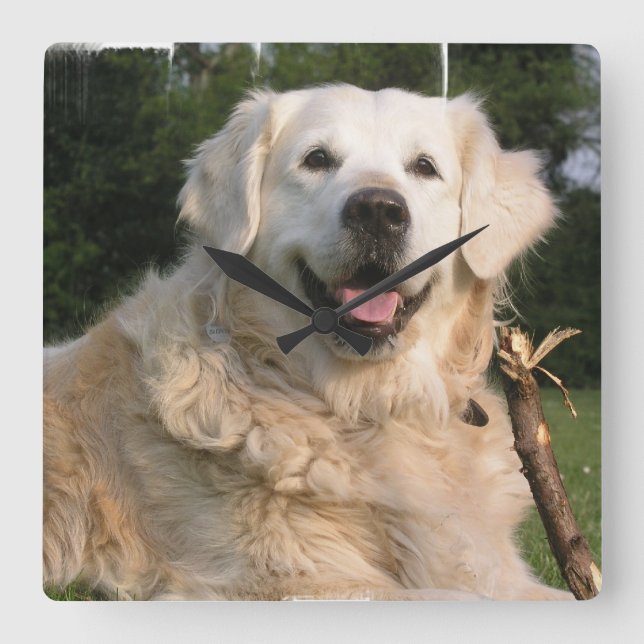 Sweet Golden Retriever Horloge murale (Recto)