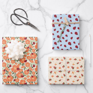 Sweet Summer Ladybugs Ensemble de papier d'envelop