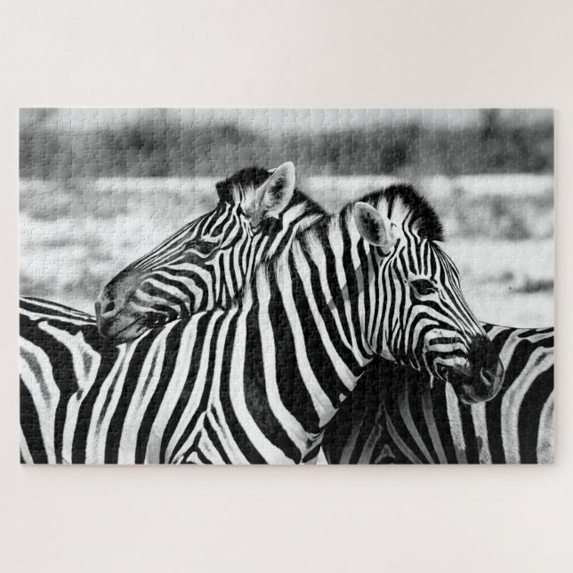 Sweet Zebra Couple noir et blanc, Jigsaw Puzzle (Horizontal)