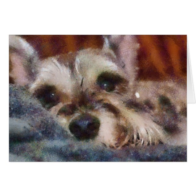 Sweetie (Devant horizontal)