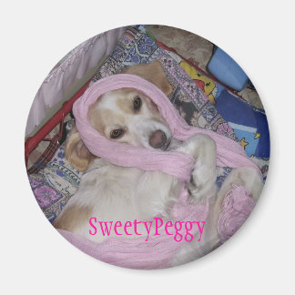SweetyPeggy Magnet