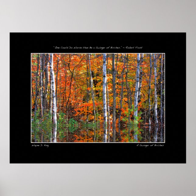 Swinger of Birches Poster (Devant)