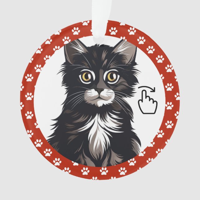 SWIPE DROITE - Voir retour ... Ornement (devant)