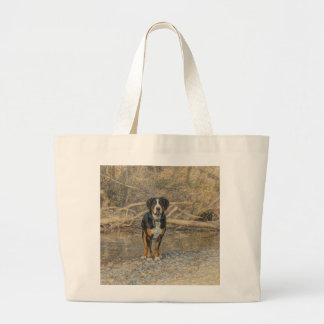 Swissy sur un grand sac à main pour randonnée