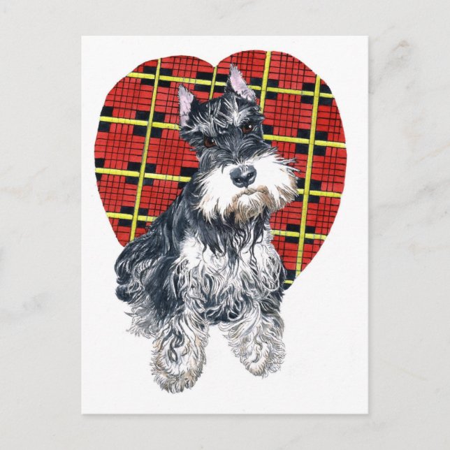 Sybil la carte postale Schnauzer (Devant)
