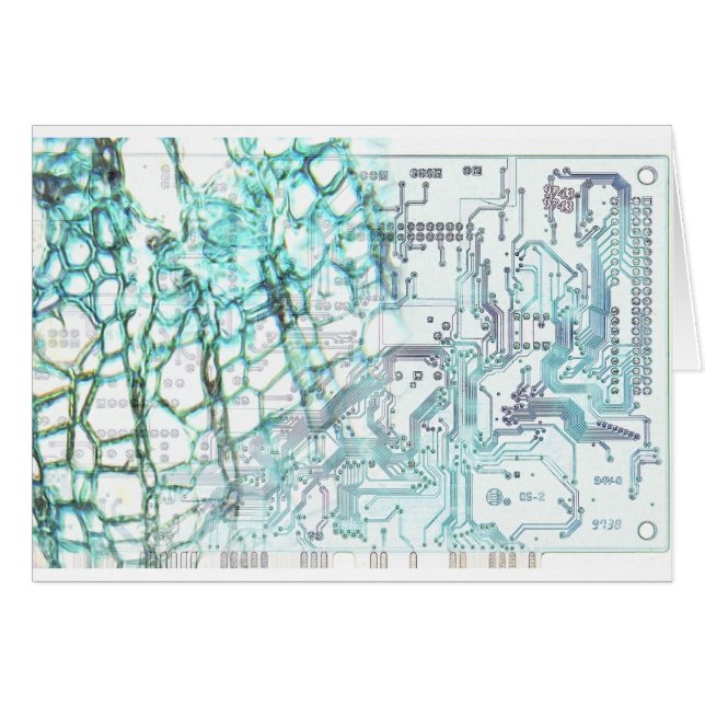 symbiose - concept (Devant horizontal)