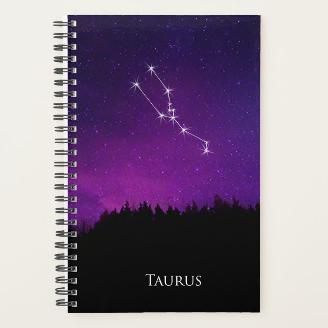 Symbole d'astrologie du ciel nocturne Taurus Const (Devant)