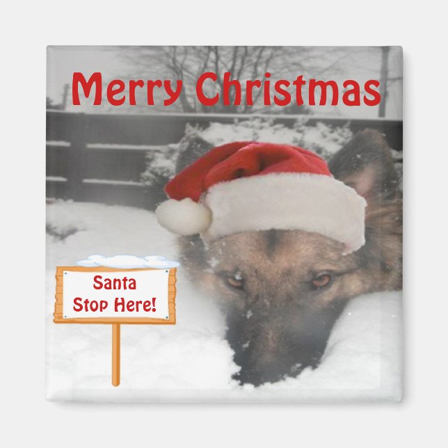 Symbole Magnet German Shepherd'Père Noël Stop Here (Devant)