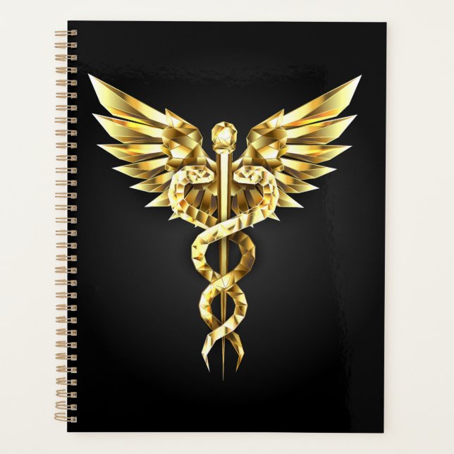 Symbole Polygonal Or Caduceus (Devant)