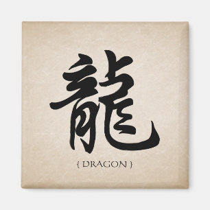 SYMBOLE SIGNE Zodiaque chinois Dragon aimant