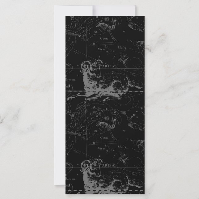 SYMBOLE SYRIE vintage CONSTellation Hevelius 1690 (Devant)