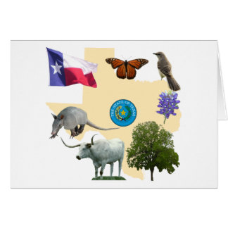 Symboles d'état du Texas