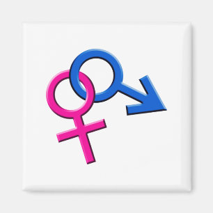Symboles masculins et féminins connectés Magnet 00