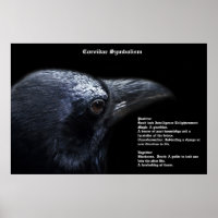 Symbolisme Corvidae Poster