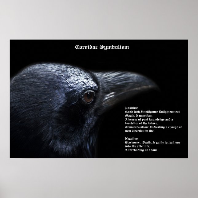 Symbolisme Corvidae Poster (Devant)