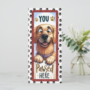 Sympa French Golden Retriever