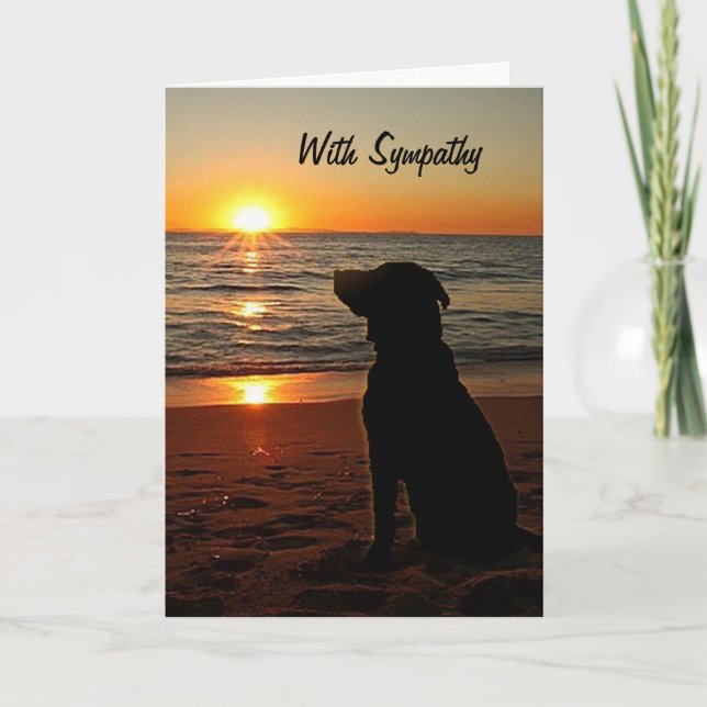 Sympathie - Carte Sunset et Chien sur la plage (Devant)