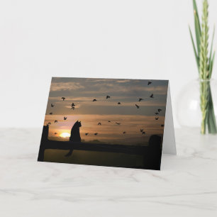 Sympathie de chat perte de la carte de chat