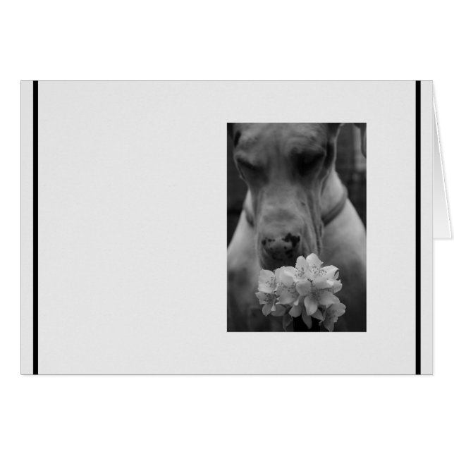 Sympathie de condoléances noir et blanc (Devant Horizontal)