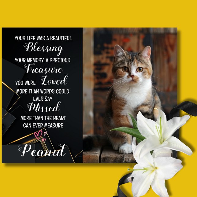 Sympathie de l'animal de compagnie Carte de perte  (Cat death Sympathy Card)