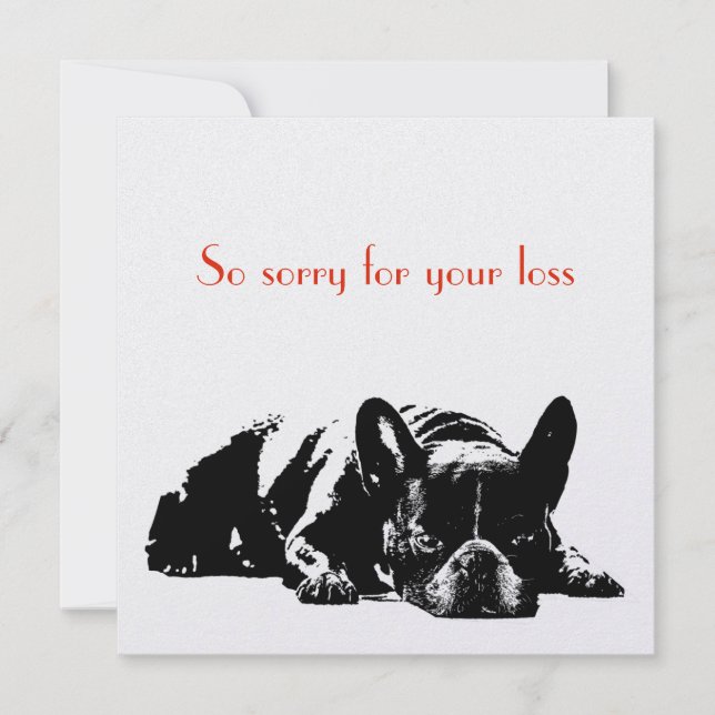 Sympathie du chien (Devant)