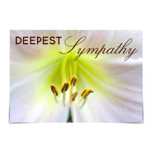 "Sympathie la plus profonde" Carte Lily blanche d'