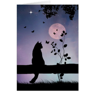 Sympathie métaphysique spirituelle chatte et papil