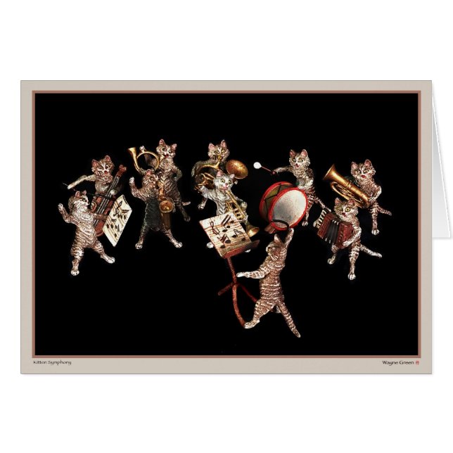 Symphonie de chaton (Devant horizontal)