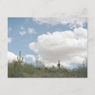 Symphonie du désert Sonoran Arizona Photo Cartes p