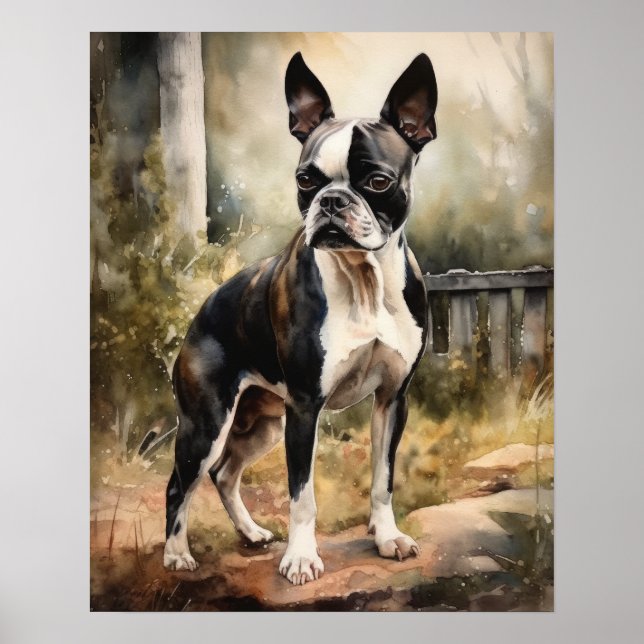 Symte Boston Terrier Dog Art Imprimer Poster (Devant)