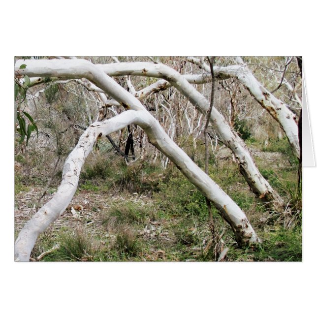 Synchronicity (Devant Horizontal)