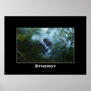 SYNERGY Nature River Affiche inspirante