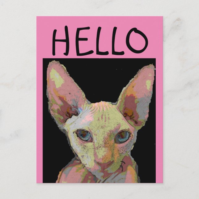 SYPHNX HAIRLESS CAT HELLO Carte postale (Devant)