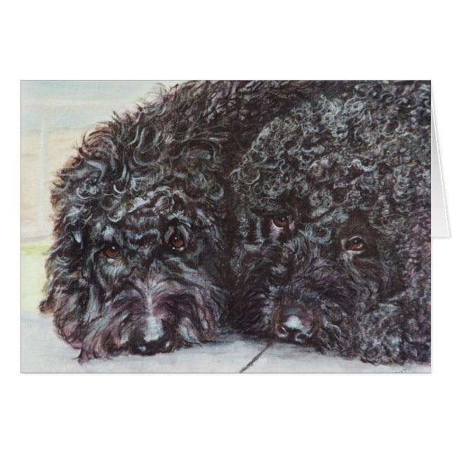 "Syrah et Cabernet " (Devant horizontal)