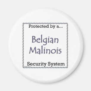 Système de Sécurité Malinois Belge - Magnet